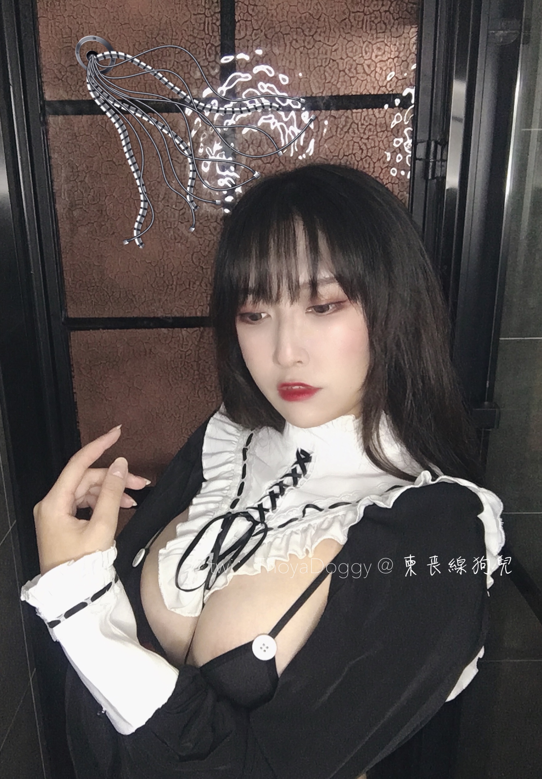 奇行家狗崽黑色裙装与白色领饰 奇行家狗崽黑色裙装与白色领饰